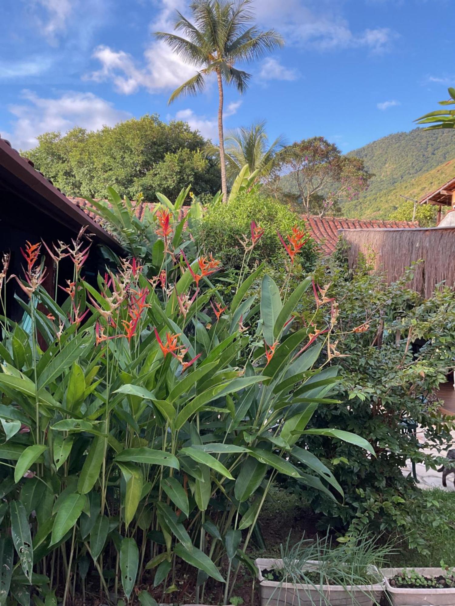 Villa Adria Ilhabela Bagian luar foto